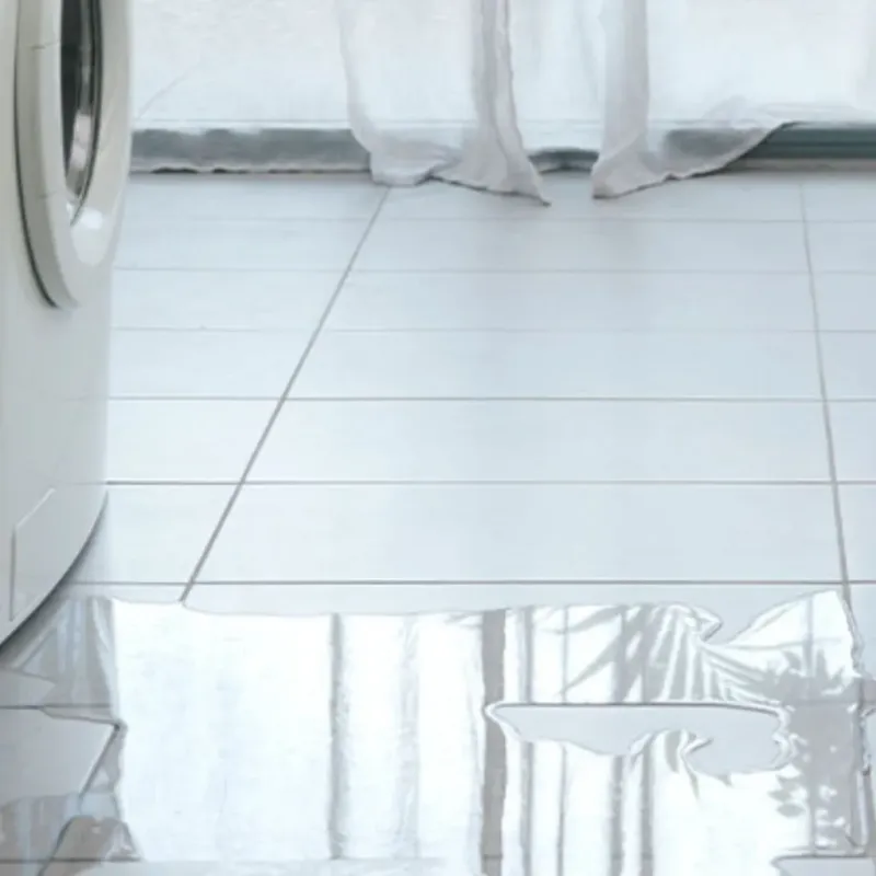 Appliance Leak Cleanup in Echols County, GA