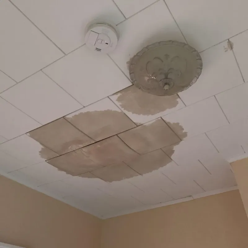 Ceiling Water Damage Repair in Echols County, GA