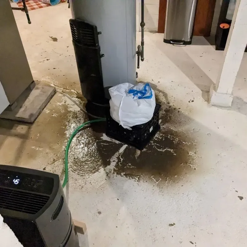Sewage Backup Cleanup Service in Echols County, GA